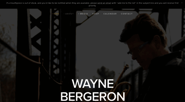 waynebergeron.com