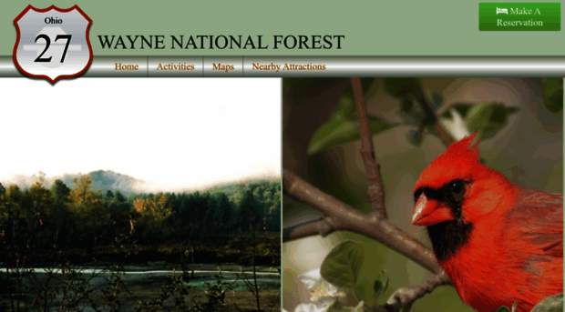 waynenationalforest.com