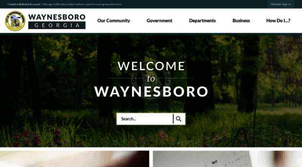 waynesboroga.com