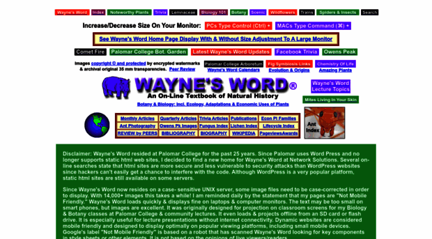 waynesword.net