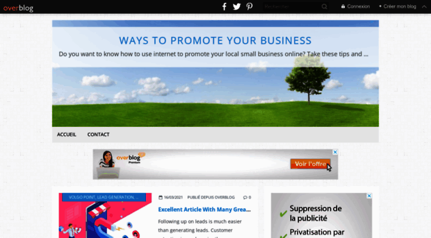 waystopromoteyourbusiness.over-blog.com