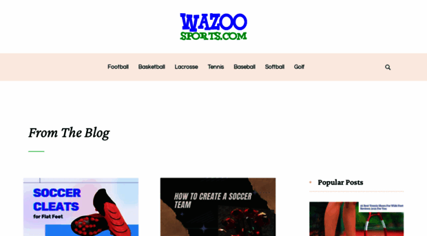 wazoosports.com