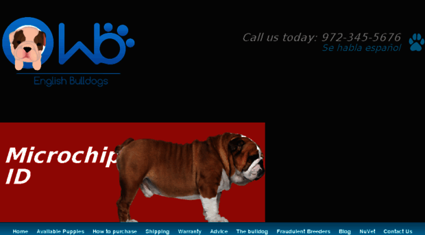 wbenglishbulldogs.com