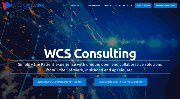 wcs-consulting.com