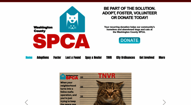 wcspca.org