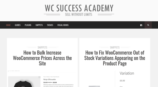 wcsuccessacademy.com