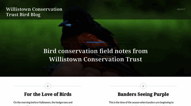 wctbirds.wordpress.com