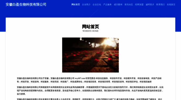 wcy007.com