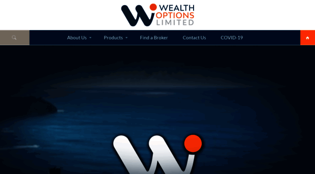 wealthoptions.ie