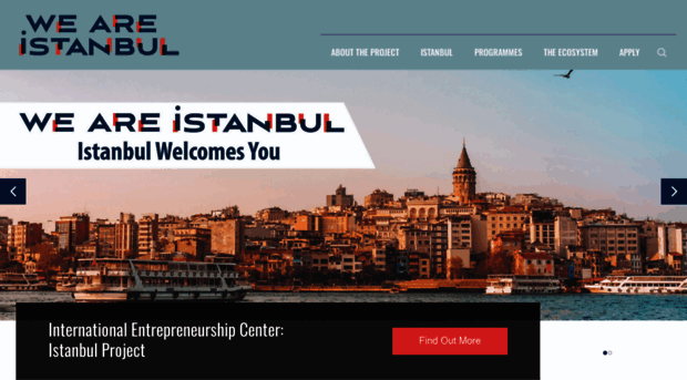 weareistanbul.beykent.edu.tr