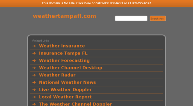 weathertampafl.com