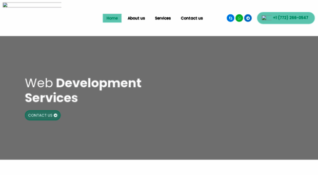 web-infotech.com