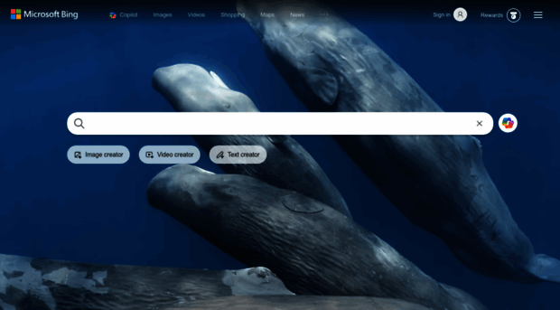 web-ldmnq.com.cn