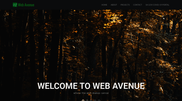 webavenue.co.za