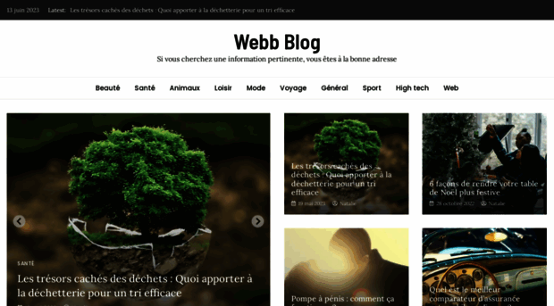 webb-blog.fr