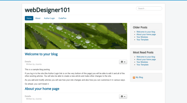 webdesigner101.net