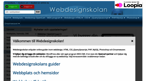 webdesignskolan.com