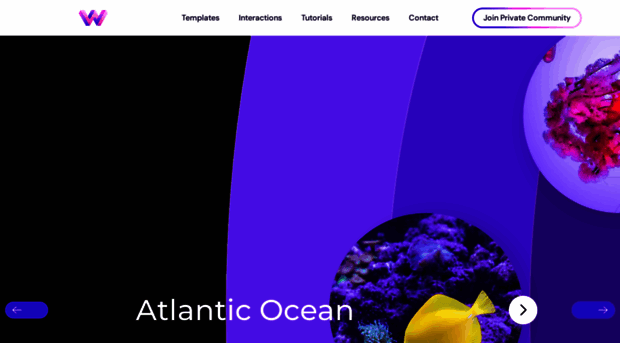 webdev-for-you-interaction-143.webflow.io