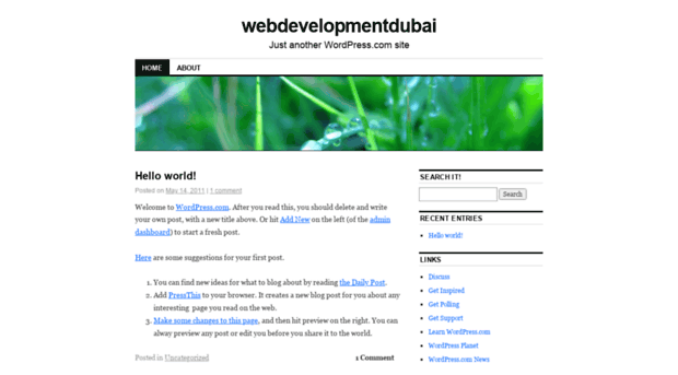 webdevelopmentdubai.wordpress.com