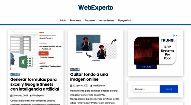 webexperto.com.ar