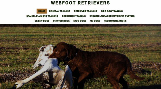 webfootretrievers.com