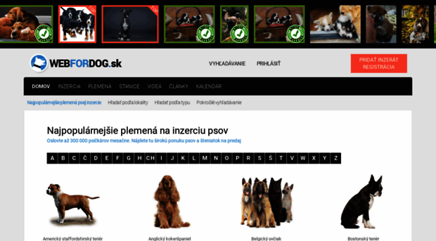 webfordog.sk