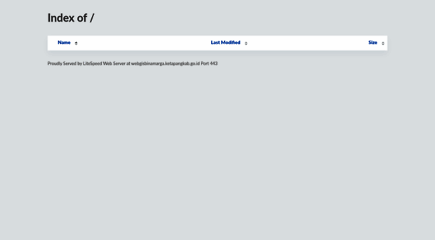 webgisbinamarga.ketapangkab.go.id
