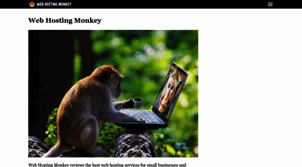 webhostingmonkey.com