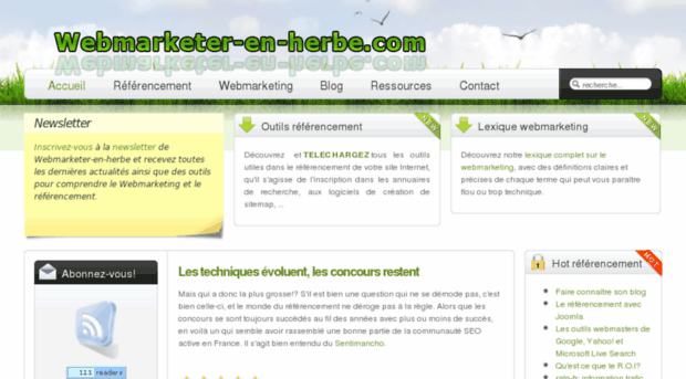 webmarketer-en-herbe.com