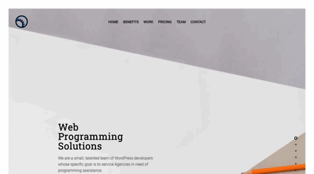 webprogrammingsolutions.com