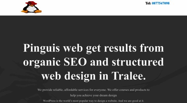 website-design-tralee.pinguiswebclients.com