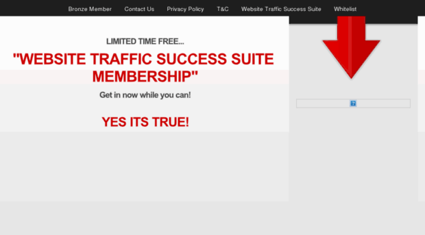 website-traffic-success-suite.com
