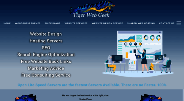 websitedesignhostingseo.com