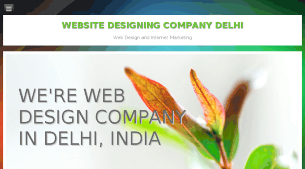 websitedesigningcompanydelhi.co.in