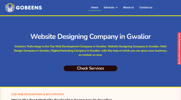 websitedesigningcompanyingwalior.com