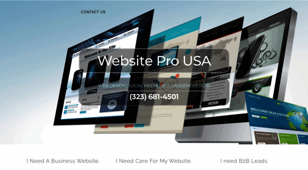 websiteprousa.com