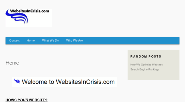 websitesincrisis.com