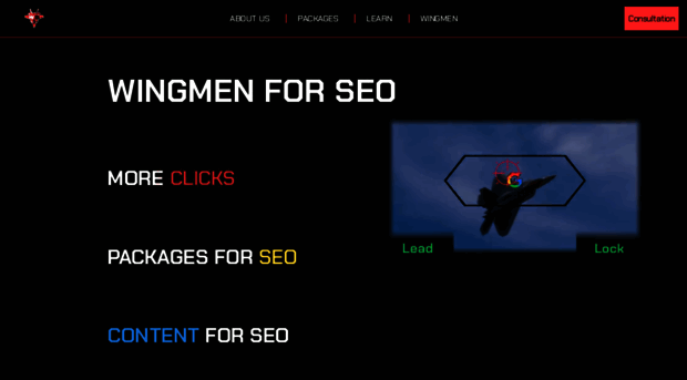 websitesquadron.com