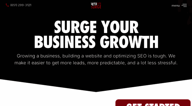 websitesurgeteam.com
