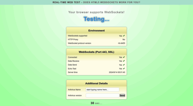 websocketstest.com