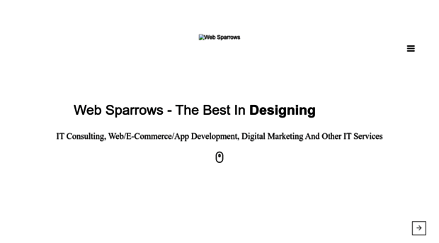 websparrows.com