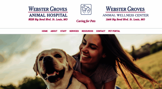 webstervets.com