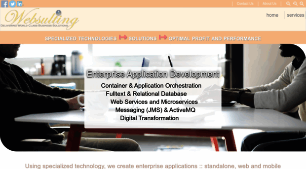 websulting.com
