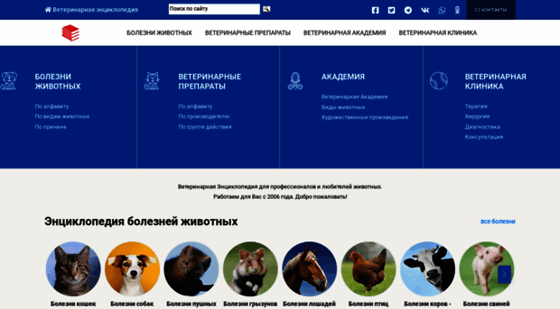 webvet.ru