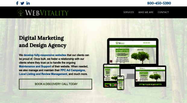 webvitality.net