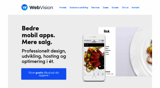 webvizion.dk