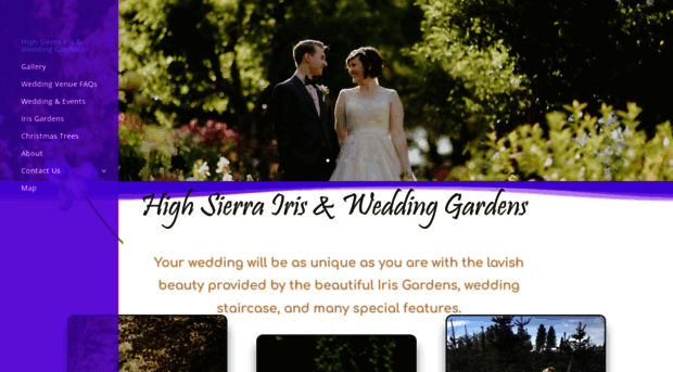 weddingsnflowers.com