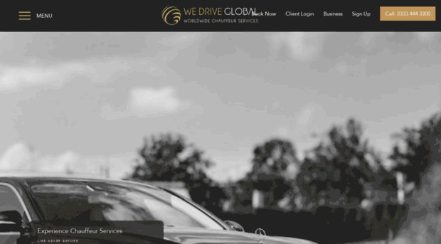 wedriveglobal.com