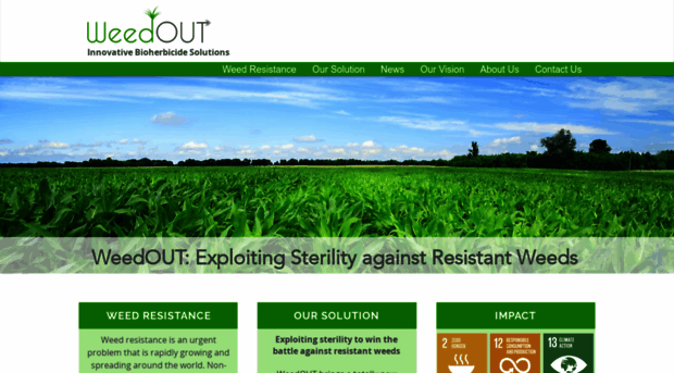 weedout-ibs.com