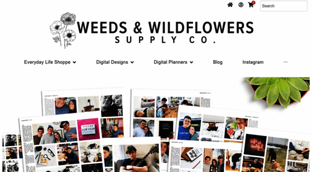 weedsandwildflowersdesign.com